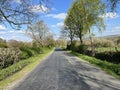 Long Lane, with old trees, and wild plants near, Cowling, Keighley, UK