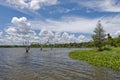 Looking along the Reservoir margins of Lake Texana in Texas. Royalty Free Stock Photo