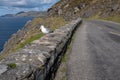 Looking along the road and rugged cliffs of the Dingle Peninsula, Ireland, bright blue sky with fluffy clouds