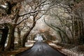 Looking along a road in the Sussex countryside on a winter`s day, with snow on the tree branches Royalty Free Stock Photo