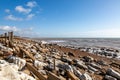 Looking along the rocky beach, at Pett Level in Sussex
