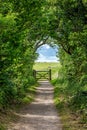 A Pathway along the South Downs Way Royalty Free Stock Photo