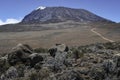 Looking back Kilimanjaro from the Marangu Route Royalty Free Stock Photo