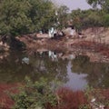 Looking beautiful pond in india