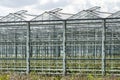 Greenhouses with opened windows