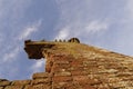 Looking directly up the thick sandstone walls of the Keep of the ruined Red Castle at Lunan