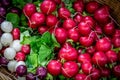 Looking down on a basket of colourful radishes on a market stall Royalty Free Stock Photo