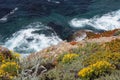 Looking down at the California Coastline with wild flowers and white water waves Royalty Free Stock Photo