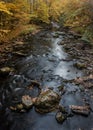 Looking Down Cataloochee Creek Royalty Free Stock Photo