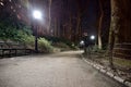 Looking down at city park path lit with a lamp post at 8