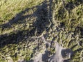 Looking down on coastal sand dunes. Aerial image. Royalty Free Stock Photo