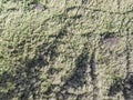 Looking down on coastal sand dunes. Aerial image. Royalty Free Stock Photo