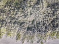 Looking down on coastal sand dunes. Aerial image. Royalty Free Stock Photo