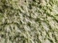 Looking down on coastal sand dunes. Aerial image. Royalty Free Stock Photo