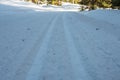 Looking Down Cross Country Skiing Tracks Royalty Free Stock Photo