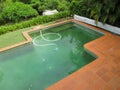 Looking down on a dirty green swimming pool with a vaccum in it surrounded by tropical trees and with a cover rolled up to one sid Royalty Free Stock Photo