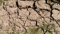 Looking down on the dried area of mud at the entrance of a meadow, after warm weather Royalty Free Stock Photo