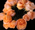 Looking down at eighteen long stem orange-peach roses in a glass vase Royalty Free Stock Photo