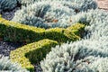 Looking down on hedging