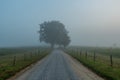 Looking Down A Foggy Hyatt Lane