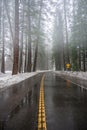 Looking Down Foggy Road in Yosemite
