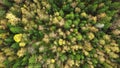 Looking down on forest of breathtaking autumn colors, Fall splendor, aerial flyover.