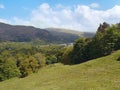 Looking down grassy bank