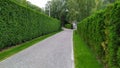 Looking down a gravel path of a tall hedge maze. Path surrounded on both side by a tall hedgerow in a formal garden Royalty Free Stock Photo