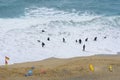 Looking down on group of surfers in wetsuits on beach