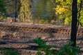 Looking Down a Hill at Train Tracks and a River Royalty Free Stock Photo
