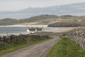 Looking down a lane at the white sands of a scottish beach Royalty Free Stock Photo