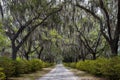 Looking down a long dirt road underneath Spanish moss hanging from live oak trees in Bonaventure Cemetery, Savannah, Georgia, USA Royalty Free Stock Photo