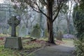 Looking down in in a misty grave yard Royalty Free Stock Photo