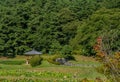 Looking down on oriental gazebo