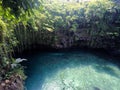 Looking down over the edge of To Sua Trench swimming hole, Upolu, Samoa, South Pacific island Royalty Free Stock Photo