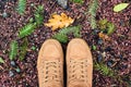 Looking down pair brown shoes standing ground fall wet yellow maple leaves Outdoor Autumn season nature background Lifestyle Fashi
