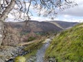 Looking down path and gate to Borrowdale, Lake District Royalty Free Stock Photo