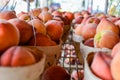 Looking down rows of peach baskets Royalty Free Stock Photo