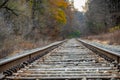 Railroad tracks in winter Royalty Free Stock Photo