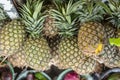 looking down at a stack of ripe pineapples for sale at fruit stand Royalty Free Stock Photo