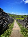 Looking down the trod from Grassington to Linton Falls