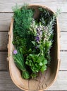 Looking down into wooden harvest basket of fresh organic herbs: Royalty Free Stock Photo