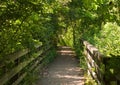 Looking down a wooden path in the woods in the summer Royalty Free Stock Photo