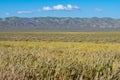 Big view across Carrizo Plain National Monument