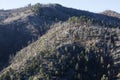 Looking East from Emory Pass elevation 8800 feet