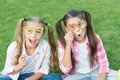 Looking fancy. Party girls wear prop glasses on green grass. Playful friends. Happy childhood. Fashion and beauty Royalty Free Stock Photo