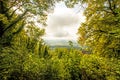 Looking through a foliage roof on a landscape Royalty Free Stock Photo