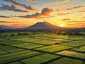 looking freely enjoying the stretch of rice fields that ends at the  hill range under wisps of evening clouds. Royalty Free Stock Photo