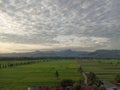 looking freely enjoying the stretch of rice fields that ends at the Menoreh hill range under wisps of evening clouds. Royalty Free Stock Photo