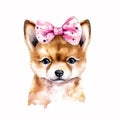 Puppy Love: A Sweet and Fun Shiba Inu in Watercolor with a Headband Bandana and Glasses AI Generated